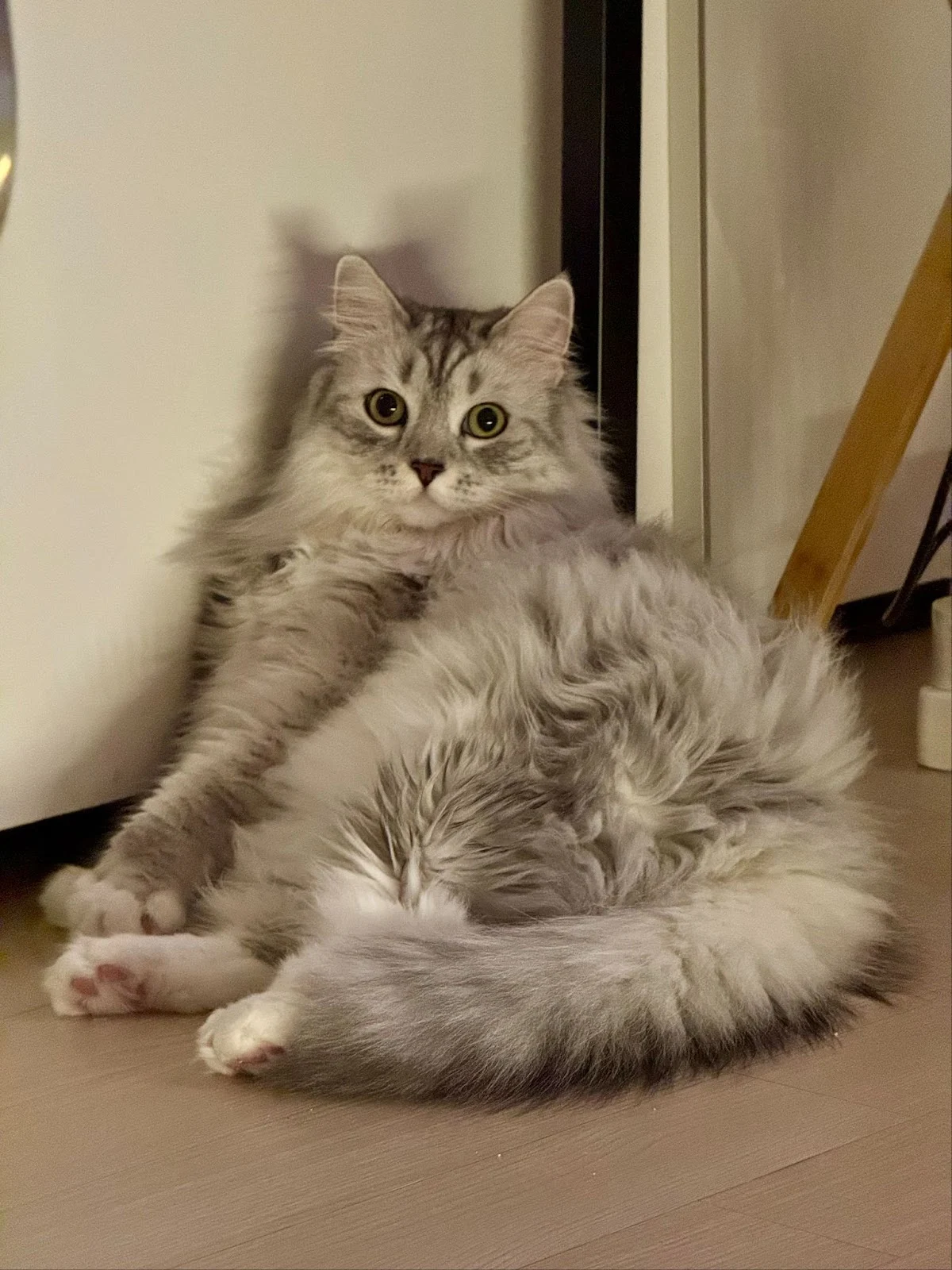 AD_4nXd7YK5GHdY60psO0D7XeQZhXUBi2iHy4j0KMLlNmPJ0Ylx7XuQuzKoqO6StNyUF2hprWuJ3LxMweu5sjeNuYhKNSf2w9hNgk9LCgqqr_nJslF23FSkNN2nkamu9juDlIZD3ZrdGWYN-pZA6D8oiZGVx6SCD?key=ZH14vbb-2zBB-4p4XnKE1A