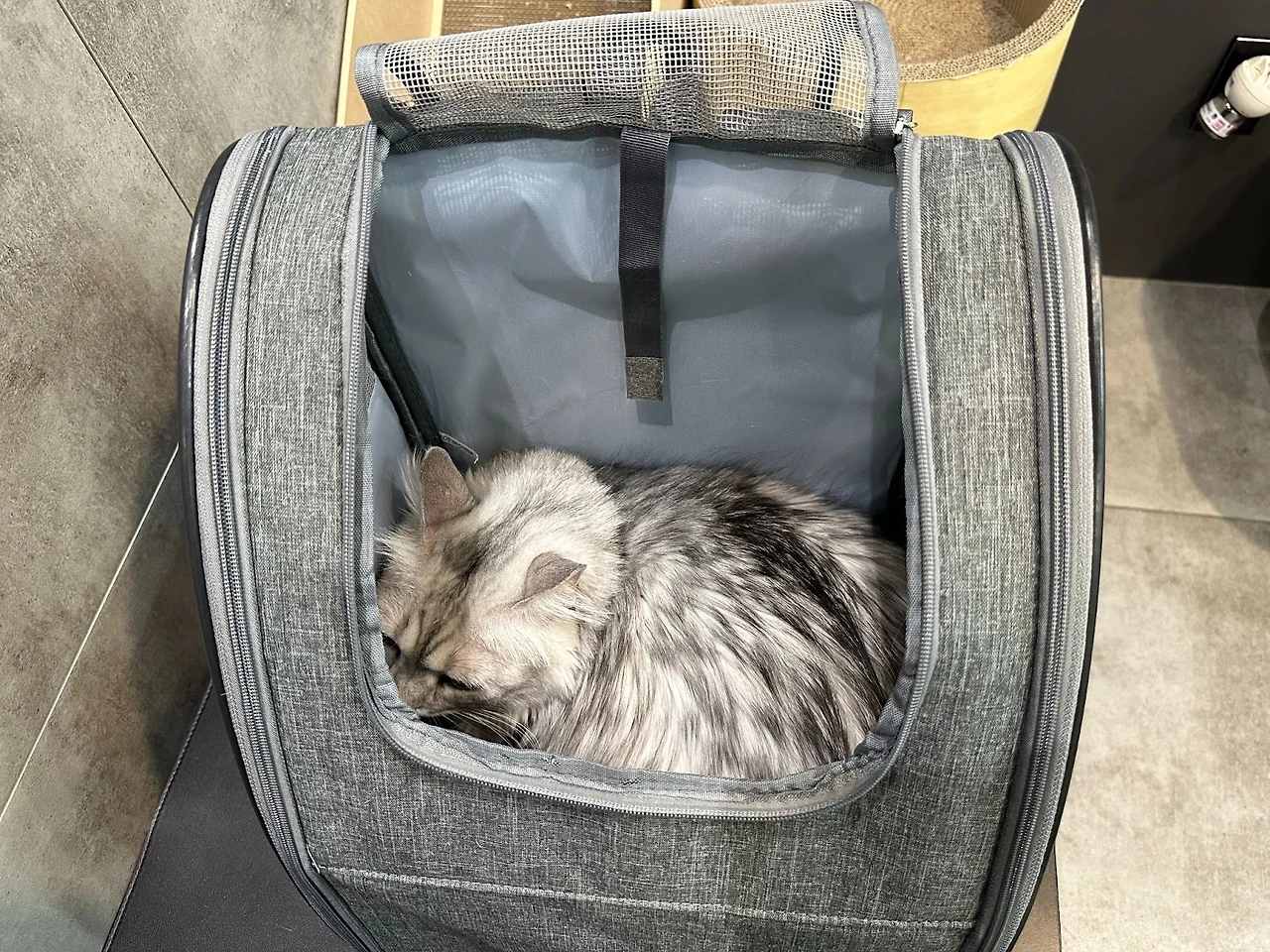 PImq0VxZ_Udpd8j62WL6NZdB49bk40FMhvTKjRhjMP6dqrExhQgBjqAeeBmruDj0ttIPmy6M4tGdUWZwIZRLKo_nvorALLj-Z1jDb1rWPT354VXy13ziOpImKP4CP18DtV4SGbSEJflzIhggIRaKyLc