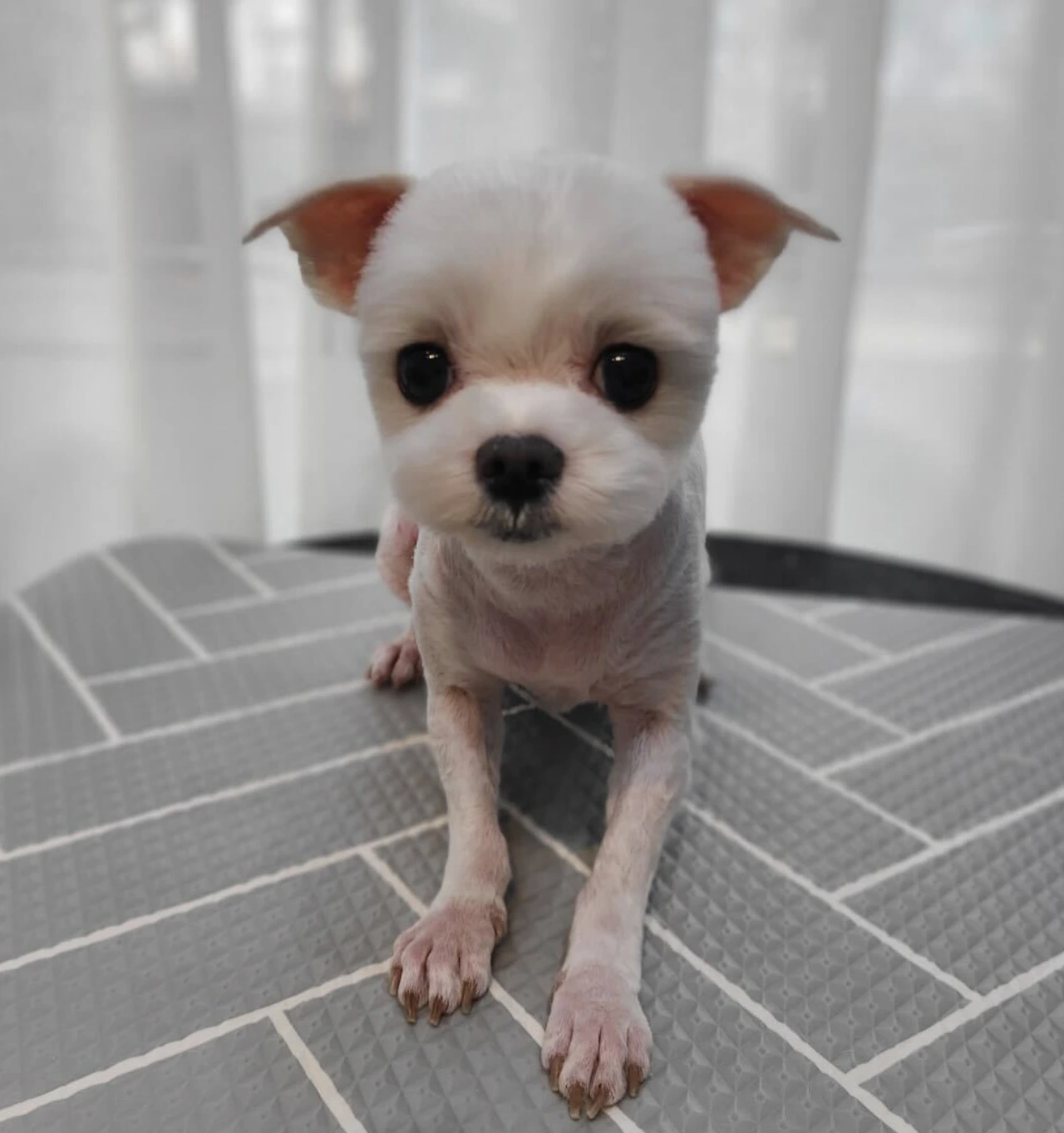 MnZIBXS4Nfd4a65vQP-PFQzbkj39J2xZ5NlYwCypd5MrPo2EdVmQvbvO3mEPdu1sblNy1jCyLTL_NuYyrxwdzuqiQt0arrn4O6P_k7ij9KTy710tWDGzFc16ymIu7JCBzNYvP-QCPWoLXWrSouMeV1qWY-84HCDHpPeC0GAp7IWYm8ISs_rDxF05ZUaK-A