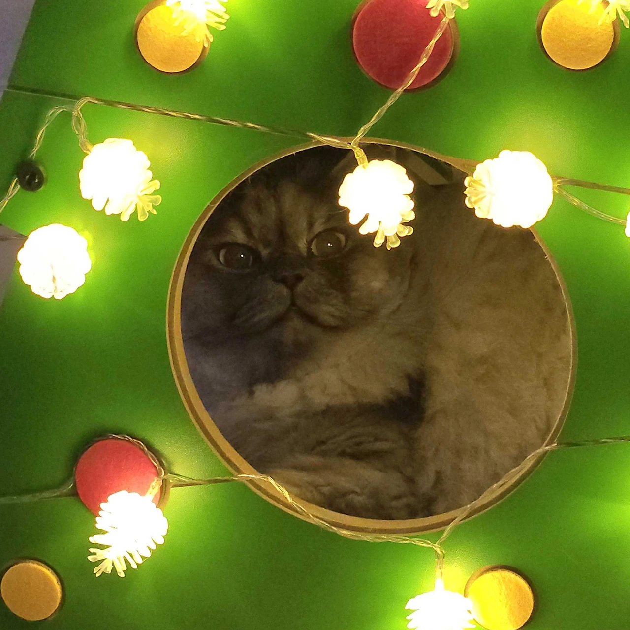 qd5bg6lqlMBffNQpaXU6KrhiYNHj4BU47BS9_L6vqZ7rb41JNA-fjbfzi0cZwKuKdmxP_CUoZtv9622SLkxI0x1ZKq9wrCarFg7wt0UqoFXcE94281LhND8mIX1SE-RCKYsQA6xa0PInGuAgo8ovNA