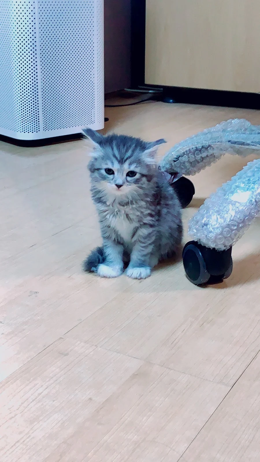 AD_4nXeGQhGNftnHdziupSuEexZSckeUqrefBhd2kmVaDX5BZG3kVRUeR1F5Wv8pyZq3Zyn2lddnt-hinmTPmrmzV_1tl2rkHDvVa3vhUyFc0lw_-WUlaxQyIVcC33uon59DcQIWjG9s3g?key=Ohe1cIk7X6dFuYhIn5kQK_B2