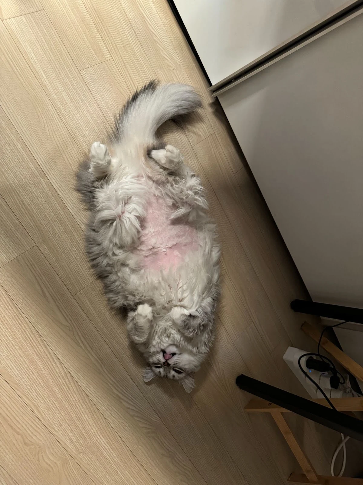 G5_X2cNrc8UmYVA5DjEv4Pul_EX0-SSiJtJxvni6_3qB9z7KkUmwaQSL6g_lBy6ivWI7SGKqzgb7OjKq11Tfg-766bWFafxLmL7_b5ytpibYE18UelyvIKkxA2JfyeCa1p5RaiKSMbE6IVZ5_a5hYTc