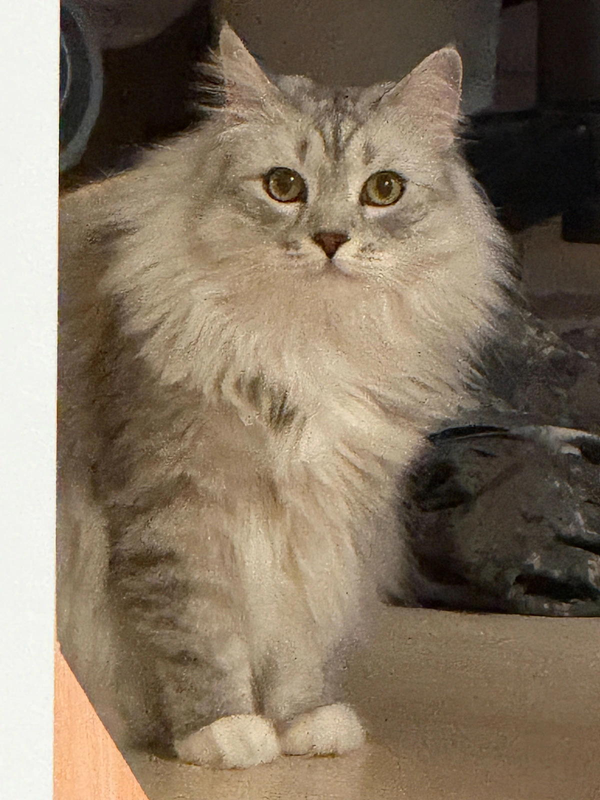 AD_4nXc6NVPltQUVGDjWgwrcwUz1Fx6Ufhst2iMzOFiFJs1KtMFE_eCKaWKTcw2-XA2dNytqhR0lBI9hJq3F1qf9weFc3b4wvVK4B0AKkvFtPyle8wrBI7DJcAD1rpcZF1y0EJoi1jUf?key=j9VUkDv_pQMRQ8x1LyqGXw