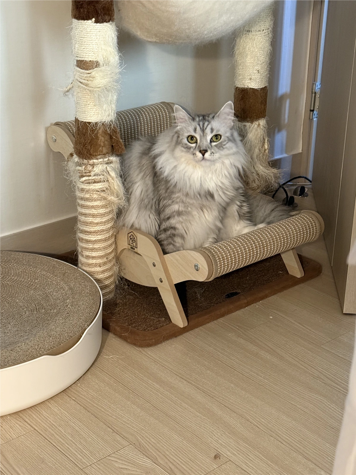 AD_4nXff_BtxjJcWkaxXwzkJ74q18r4Lrd38ZwEkMjrF8RN-KxOTwoqco5BqLTp3xEzhAaOIyI8_bRrY0n-D_arErhm0ULBAAIF_kQKNUsIEH1Y0Zm4Wy0A643V5KIKghKO_-ZyUnOCApg?key=HuN-Q6zGLrI2k-PixicwMA