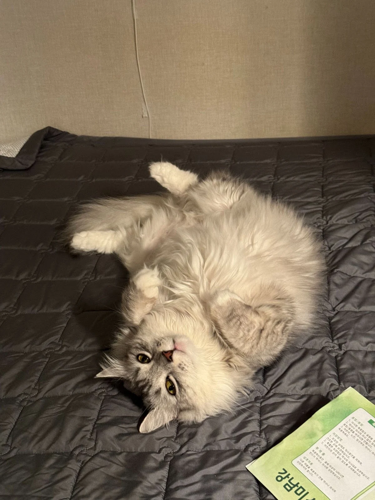 NZasPNppczwhaHW5hCBrH9yPLYRTozKwKL-IaEWjqq0dM3T3mowUwKIstuyc86r-BQ3y9yGfl8G7WOwfU7NYAO16oiR3M6c0OrTNJwoLEO2tLA_aBzxCG5O_vljO0xiyib8RtiPylGz0ITCkf0swM4E