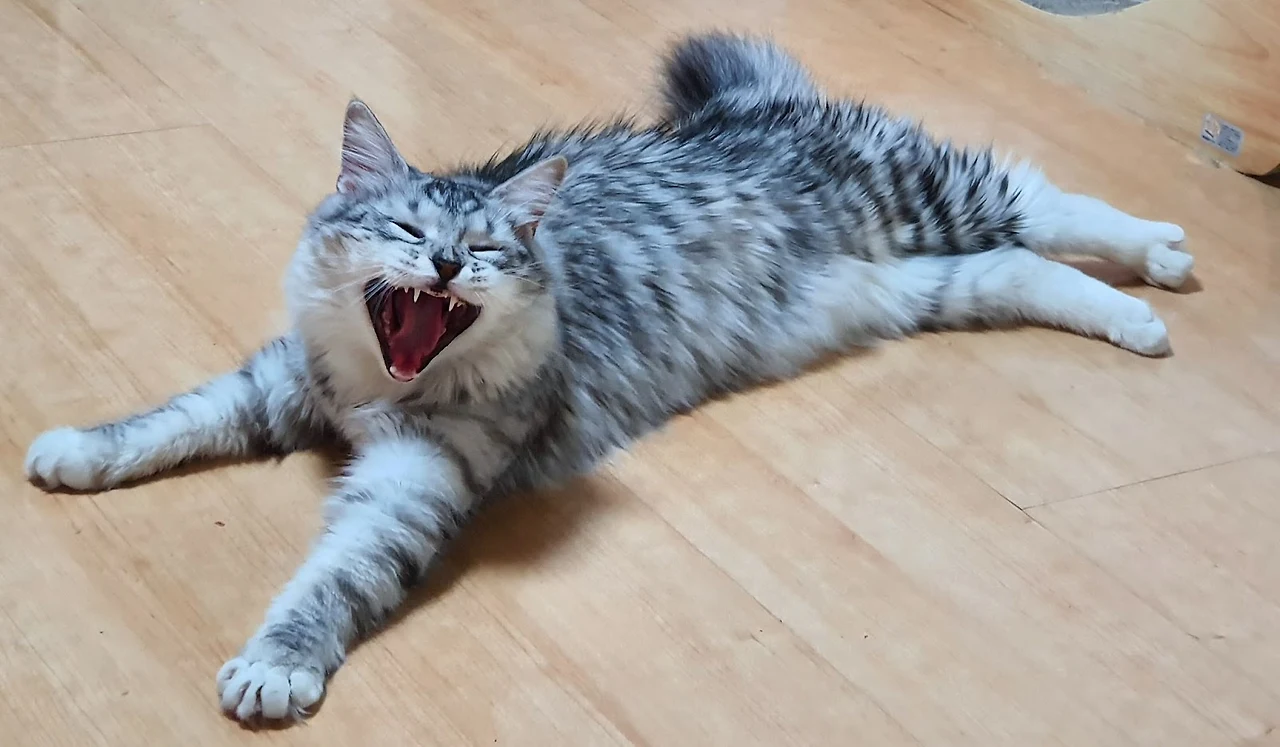 xCenXhVGN4AMHPnfmh-Q7cv8sIxe0cck_VWQxJEOjs-V17FBS3glKYuhwaUxERBgksmtb5hq5sPB5e_k4vc5mD4ucKyZe-YdbJd87weh-pLe1DRsjccLOdC9OM5DvyB6EpDk80_yo9XGcT2Z_nj1RUg