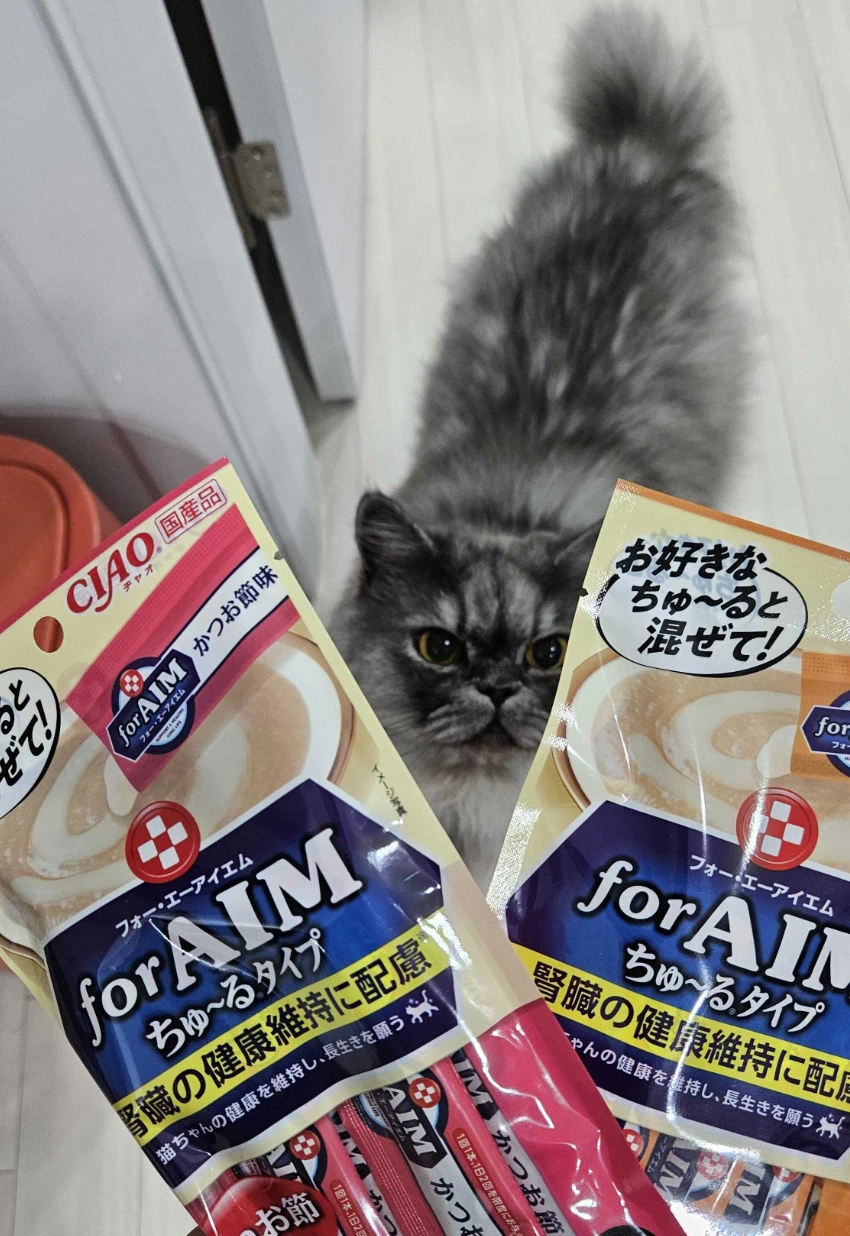 AD_4nXfxaCCOgaLt0iOSFY4rwa4jz71464HtppxMBUKvUR-RdLCT44WBJDxkz4lB7TQDd2gIVmxyeMlzIZpPxYtre77eLblyEnWlZl9NpZgScKfreTSF3Tn7lJHYl-9gpKpE6jXNGvgraK5bvdQAUdxjm3SObzSo?key=gvYD29bIKs1vuATrJRyumw