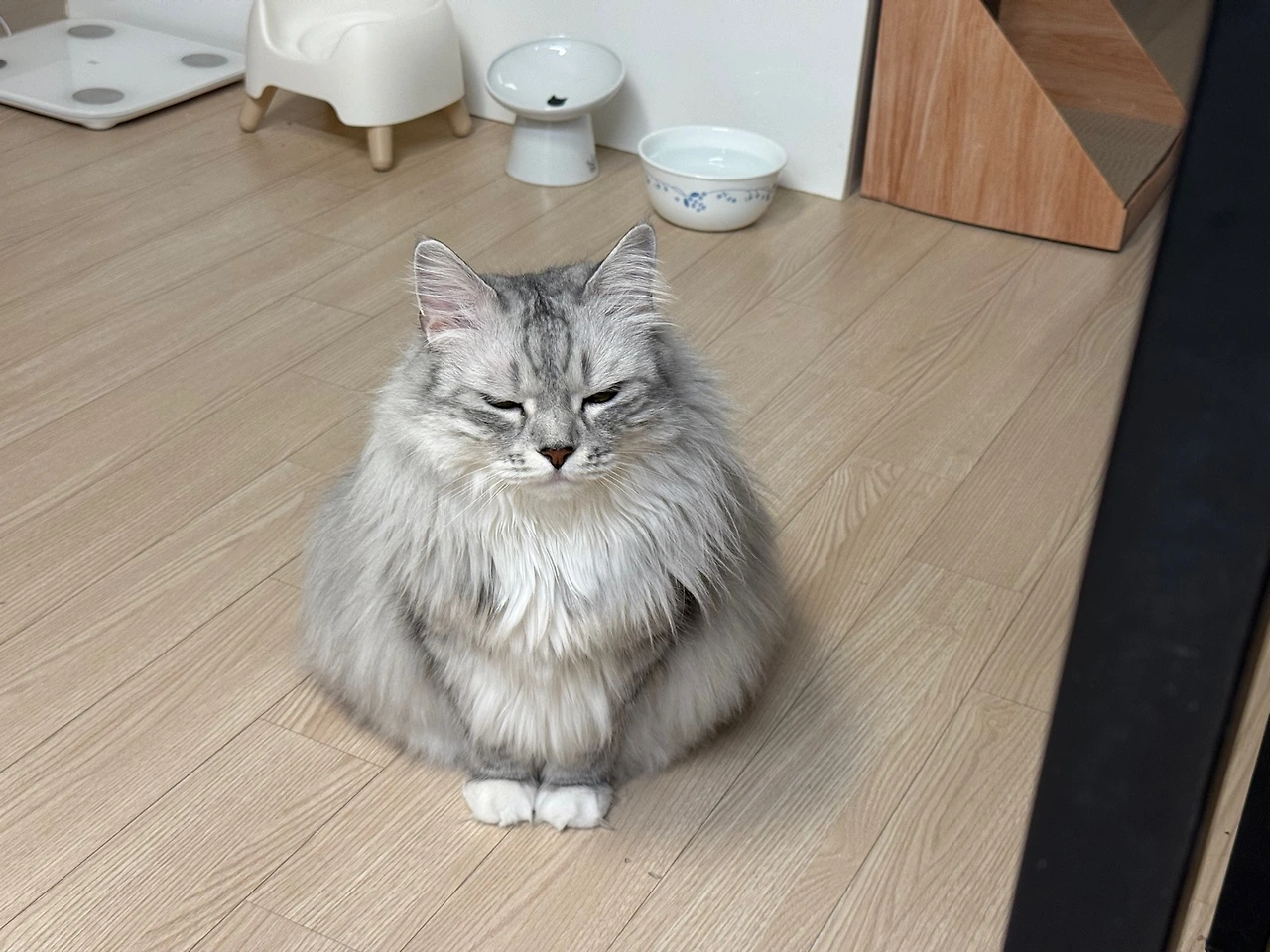 AD_4nXc0aP6zOstN0HKwrh_1PfCNgvp0Uowsh5sYnde_GY7AcjFrio_FUHwXZo8onNsYlgIycyn1aWut9HGHP2C0_F-Fp3JXlfqImFjDcb7y5UTtBHLvuZBqqz-LU0cOnZJjTbe6EJrQ?key=FkYzLpPLxlnk7hNABI3bAA