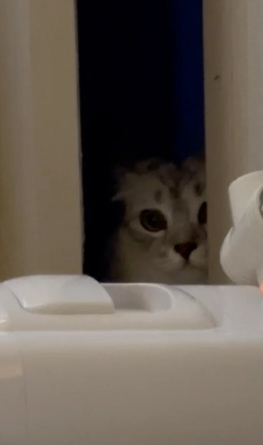 qXgQFaP7IWbuRx4CuTAcDqLwtMQ02PB-05V1vEpAPOBVi0Bdr7iJ7QJrexTgWUdHUC1eMHmB6tZTfNTu9sOmTwBAH3JVXPnWrTZDcIpkjESBiY74D3yutNgaXIBX284cD05CixWbOO0PXXrkXaBxhsc