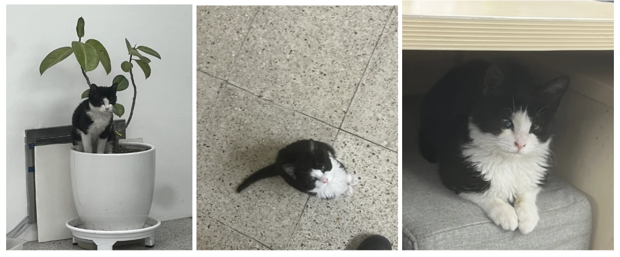 AD_4nXc-UsmD7YW9b-hyig3afkEzb9ITsSoTlgPATArGfglp4jsM7EV0Y5FFqIUdrrNdQfs0Q4Tjw6baO5GgLlV56Ld2iMPqL57ZMOUgIyp1hA7rFVFAzeArHADtOaLk4pCeU4buV_0-Mw?key=Md2wbrWcbTDw8WpaHQNYlYth