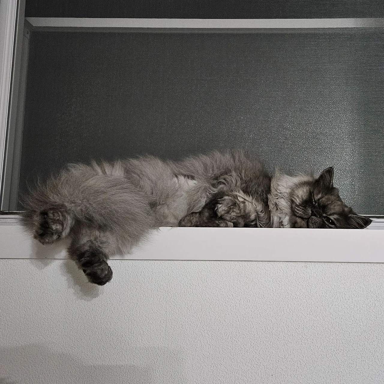 AD_4nXdNWCBLDoBiO4ZhVtjymlQVMspzj7vErjx1AcIK4Mlywg1xR5sMreDaLioQDdcJY0a0n-CvUF2HyZtuEIygqV1AXD6qolgJ_AOvJ7yMeP65f6MgBvHj49blXWiZhP6G2_X3uidBQNLRLlbI6Zvv0apfgUrf?key=hWEBefdlDi-FTkQFn4zcmw