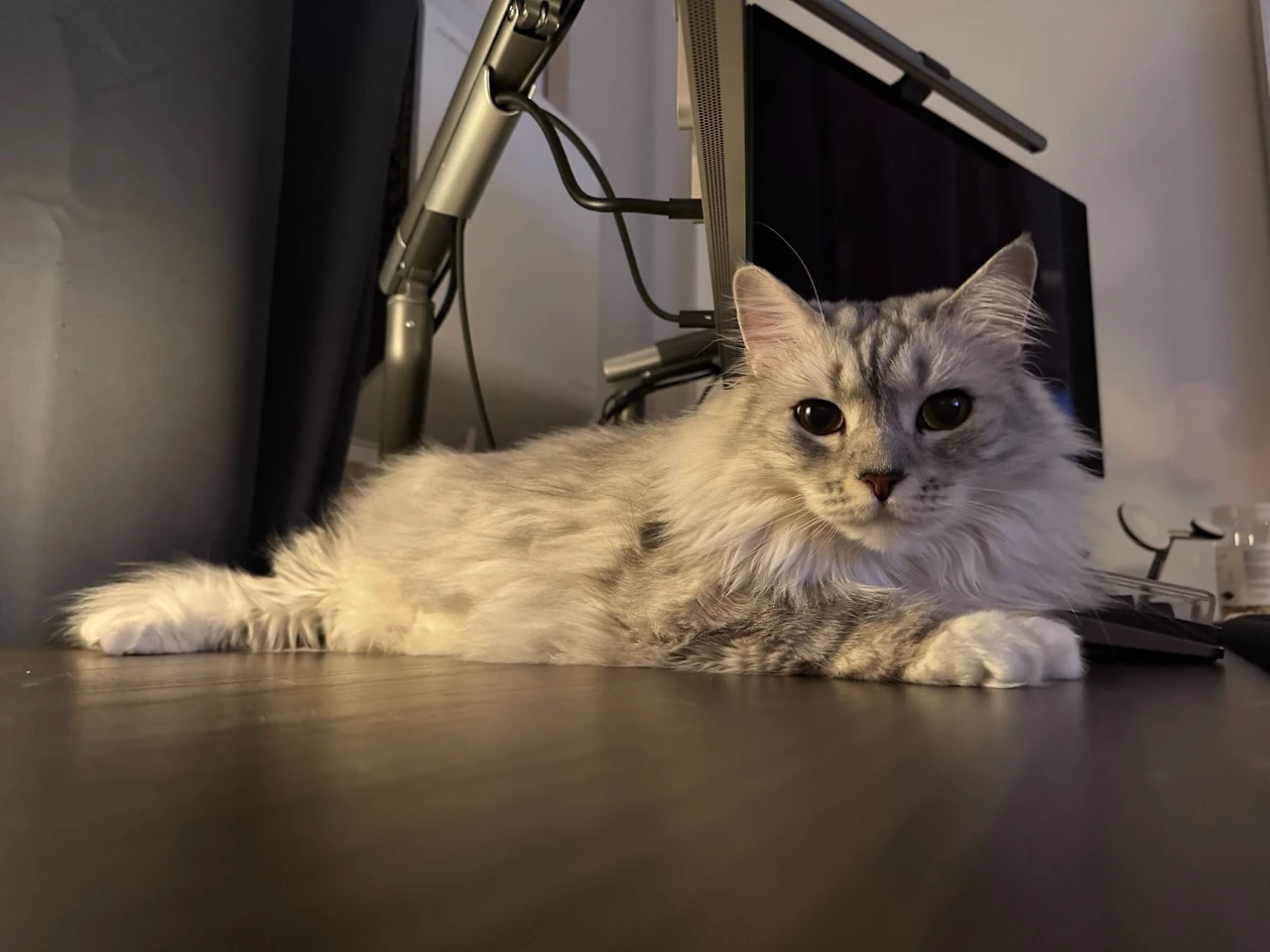 AD_4nXeaiIecCgpQIObvjQepk63ZRO-qVgeLR6X8ECbmWv9IANDSCj7c4UYCK3l-jsbAwi9LXI1FwJoULDCf2n1JpkJJe2scmJamZ6lFIHMy41H-G4L0oVYN35D7pCyMwTAK21fIB1o1Tr_w-hVOzznVuGitIBAH?key=FlLEnWkmnb2VfEMscOSCNA