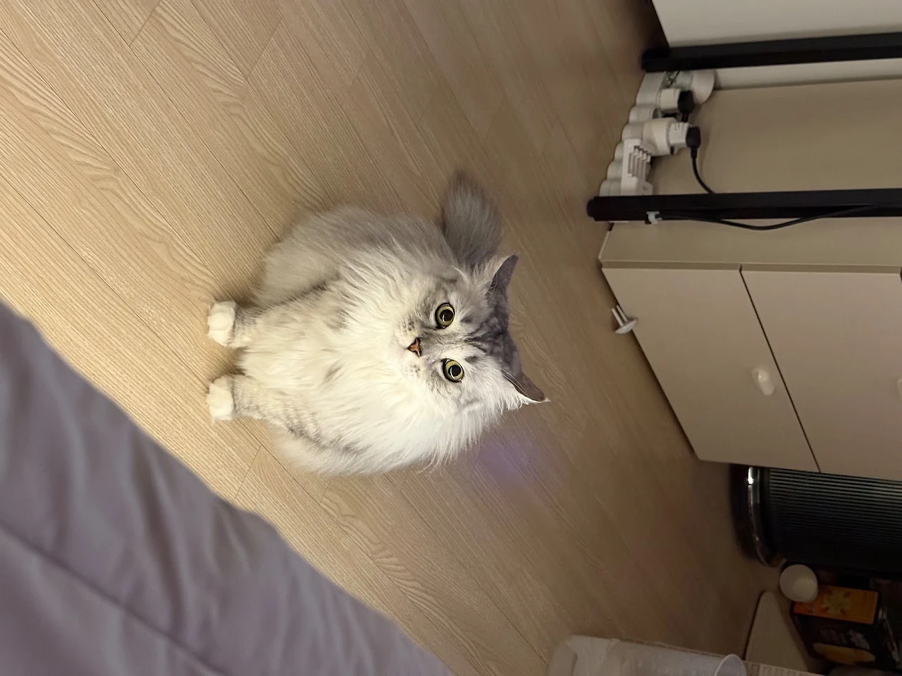 AD_4nXdHtc6n6Wlk06i_KjQDyFvjeo1d39jfXAUV3WNJxRUQsV-w7zhOYmBtUNWLd0QQBpDBfFXmZe_nZ4mqTXxCcM1-xC-zg4ud378LgfoQxSTTDOyp-tEgi6Q-mpQW2f9ofcmpmM-RJA?key=HKo5hMzPOnnWCQFxd_BCwQ