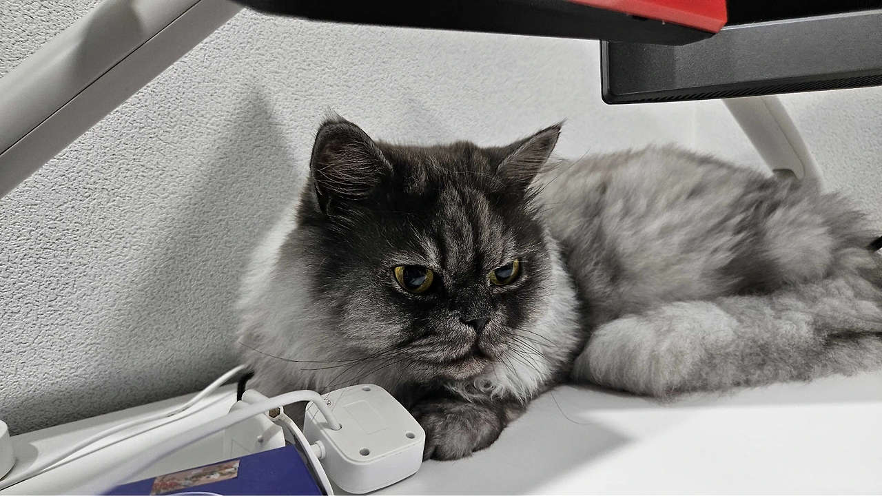 q3AfqyByvA3A9TnnR4ExCW-Ppy_8Nwtzb0v-lp9fJZfNlKAz85eo-HY6vbxyP0_IZret_uTfNLNP3EKpkZ_CD0Rp9U4ABJXpVDGjxPhQhtwZ7uyKsQyG_odgZSJPQPOlyIyGZycmmGstuuE_CDxDCQo