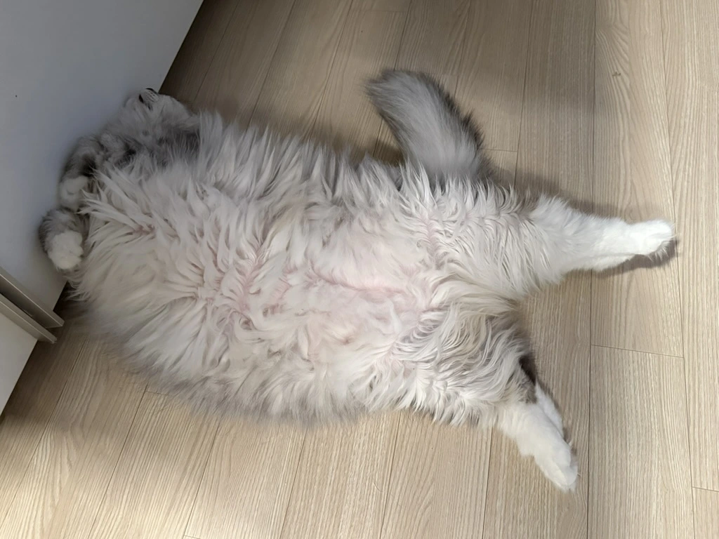 AD_4nXc4a57Y7LTifeEI7i7aeLnn5FjoVpwfIGiMK8vXFkhbBakxwyQg-1oDnsJw3FHkObgTAhe606FF3Om23AgH7kcSJV6uh7lnzrhCM_OV60Q4snXrcR1xfrWh9aNP9XtjFXpPc1V7AQ?key=OFnqfGVcippEo4uz8r1BtzFG