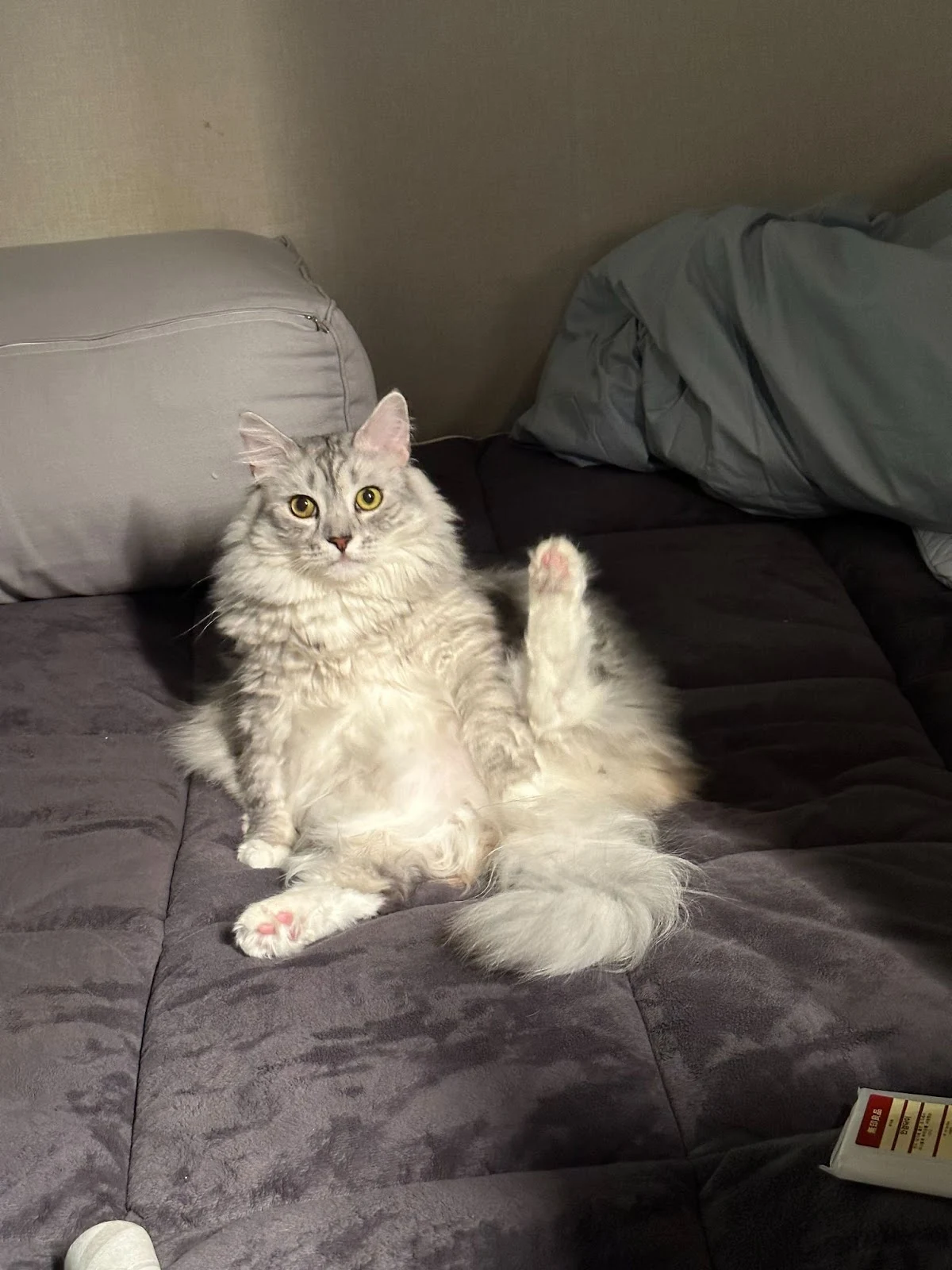 5Gv-__2dNztWvqBQwYtKRk873a4GPdydBPrUBPd6tcoOUjZ8s-fCrpHvsBstqjnPcMwJnPT-jnZhKjmYFS6pOWUbaQ25Twp9OMeAzLSlWEB5m1nX_ZVq1Xjj242XrgORNkR0UKyL2LZvLatiJYOoKYPgBd6HiAiCPCFT8tJulMJIEnNA8E9qjxegF8-SgQ