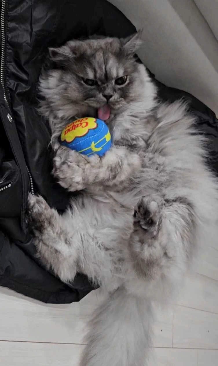 AD_4nXe_XTBpwWjv6LH2It2ytxTX-Jhp5PK6gT-ehTr0HyRq-mOn-0o8UTz4F7qi-0WL4sm_GgDzHjwxgzZgXse5QLC3jiHCv5uQAaGsb4K8vliSTWTdLG4JvPNWyqr80wiKGgeIr3xAoQ?key=OFnqfGVcippEo4uz8r1BtzFG