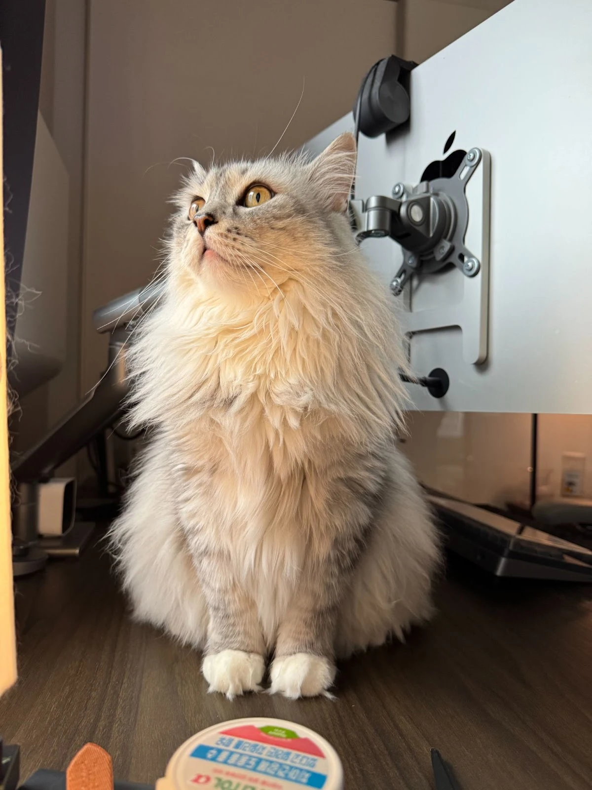 AD_4nXdykOQMeNA0S4S_-UbB639TrJZEbzrkz-Zh8tyu_Us76PLkhWVj8rPaV5olmvGUXj5UZq4UzHkYbPZ2iUpu41qWIJWYIlPa-nK5JOmkE_gP9kHqEft0-Aa7DoRz2I0b3USFAKvHmSbcyHnvv3GLp18XhMs?key=3eVU3c-G_es9KjGiEcPZEA