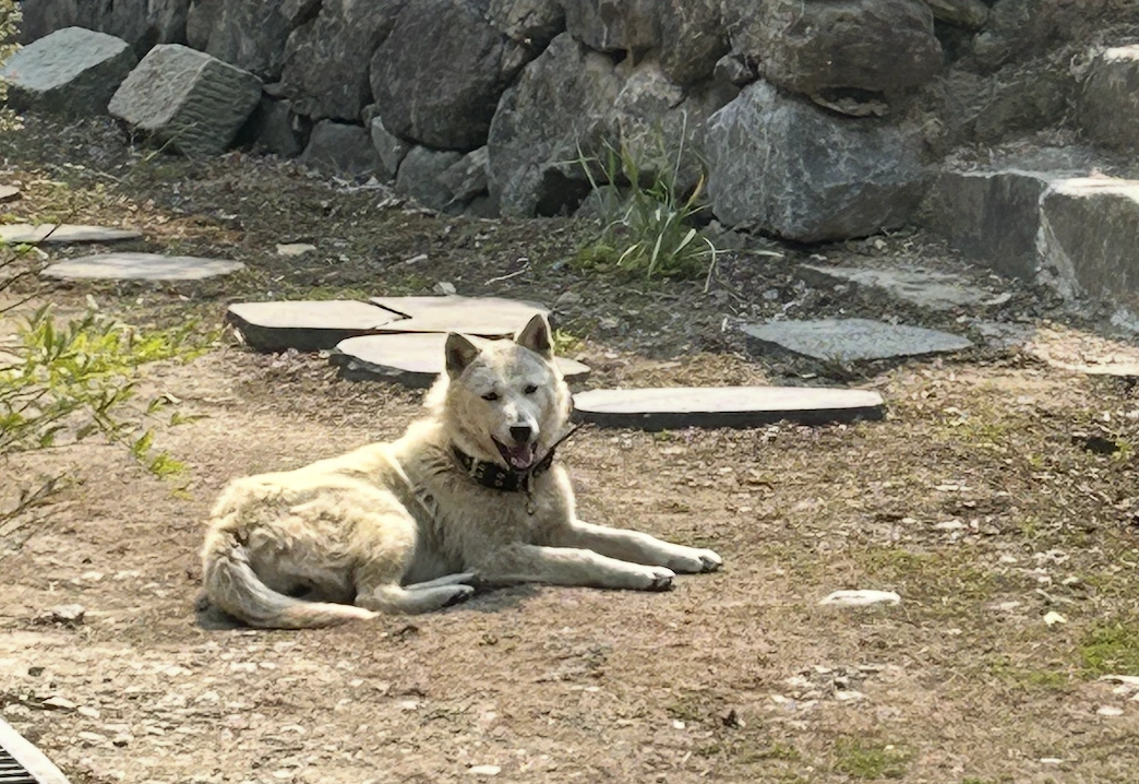 AD_4nXd5BeZxE79xmnvXft2tv5oV-ciJs0kRlZmqbgfnvvkewiPNtgTR11SGSxrrIFY9bmSNQC-FDc6rRFjF_4QMUVs1TkgMarrV-D4xQaPvE4_lYhE8-qYx0mwPZlaMvKh20bfefjKmtQ?key=fw6Isv_a-R_e1l24nfcbWw