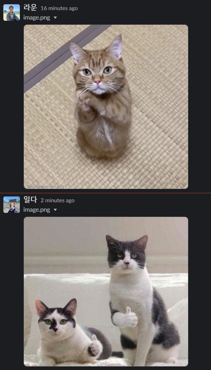 lgLgDF2QYb8nReuWGBJF9MRBcMR0NommOMGZGqC-KHIl9aC_AAlWALOQ7ipl-K58PC7Zf88KI1eeuU-28OSKrj1j9xadSoq81e8RvzeNZyjFgMrvbXwH_6M55ijeAnY7OVN5AnK9ik4pnRaIt-uuG-8