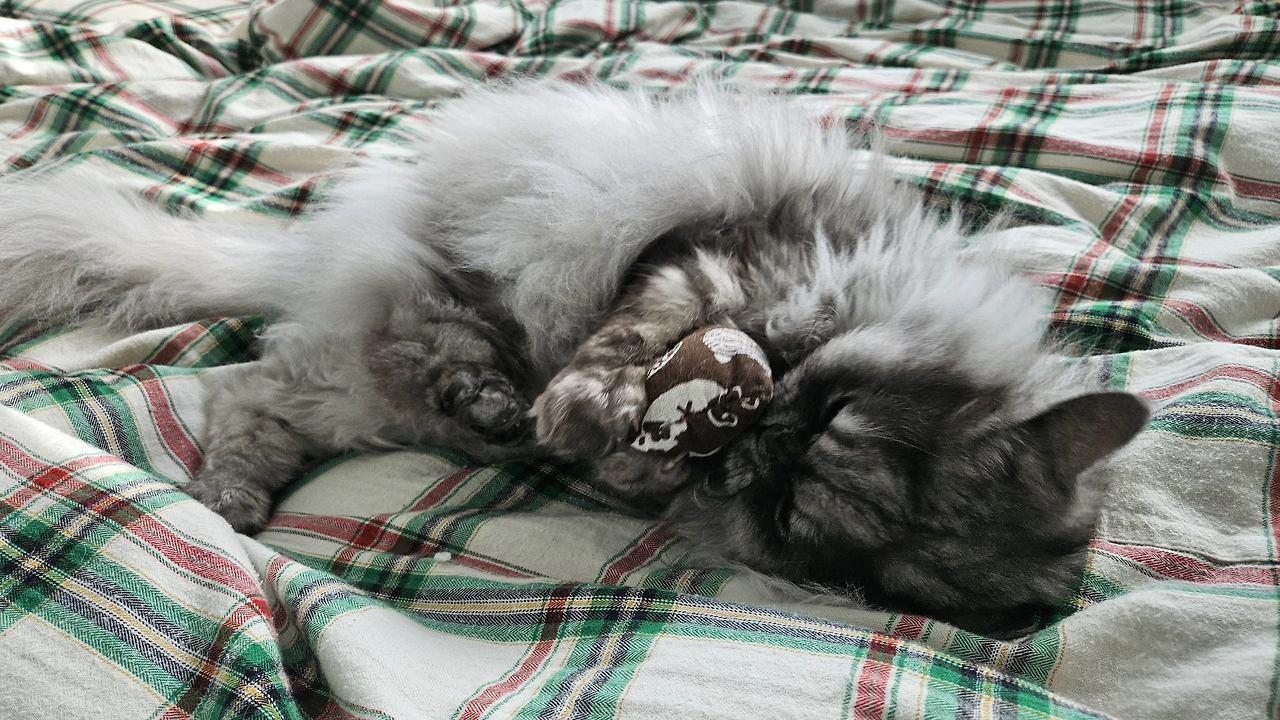 KakaoTalk_Photo_2024-05-09-13-07-06 002.jpeg