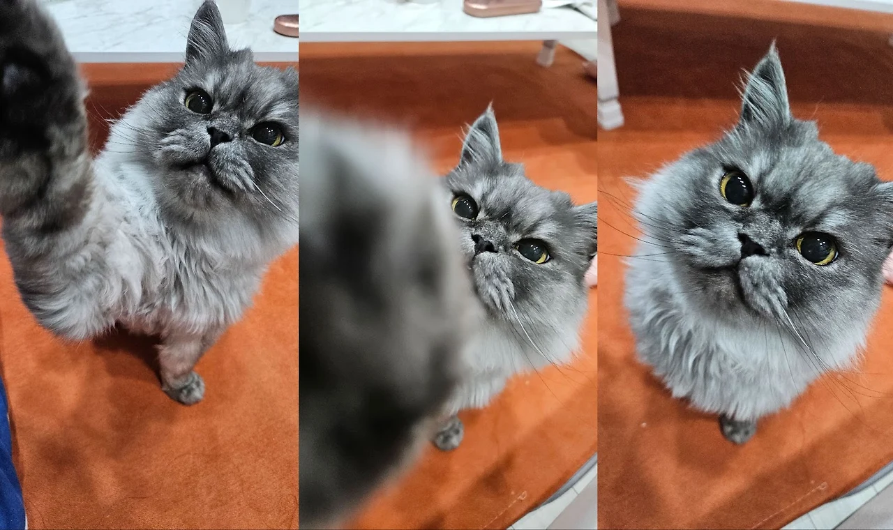 AD_4nXd1MGKd0yH7vibxZZJxWoDY1o47QOqctYtH_AvSm056HXL7dXau8sfFurM3PO9iSktjggHjYxZWCRf1lPuNksT3CXd7g3XmHvpooBKru5xq7yxgM3in2CIzOLK99ILVv32NNf_98g?key=vIzTYcG0QbB50j-xPt82Bg