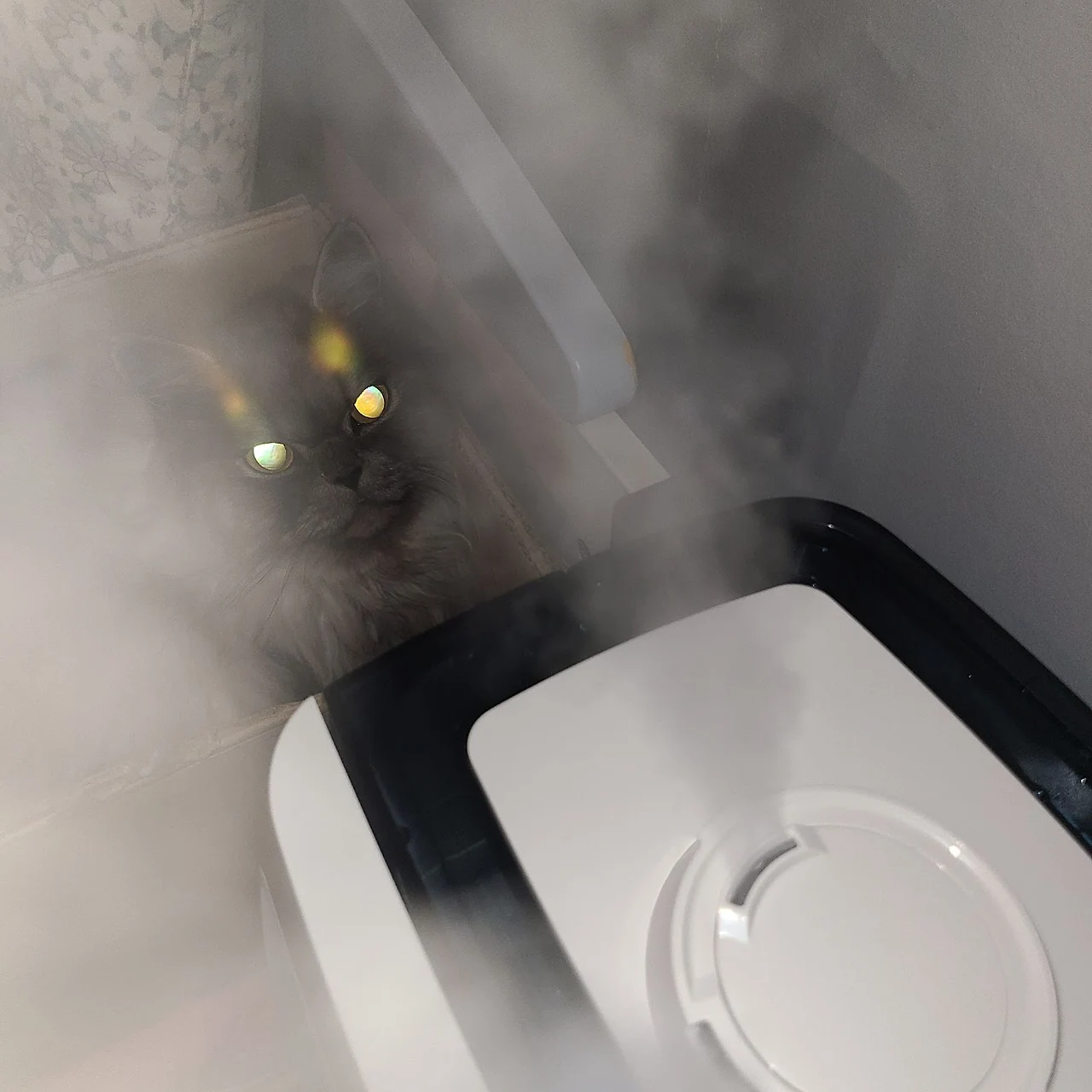 AD_4nXe4fuemCH1AikVo0GDmd-3jUY-RxZ18A89KvatBH_E563ig1uLX0sRq1QMC8xWvK6XdjzIIAu96o4uIPWKHwMlh9-PgFa1yvyPmyI-U3xw_7B66KbEq5rXYwgihBbM35HJAhqgBgQ?key=RkdaQeCmXw1FnwU8VMnw1D2J