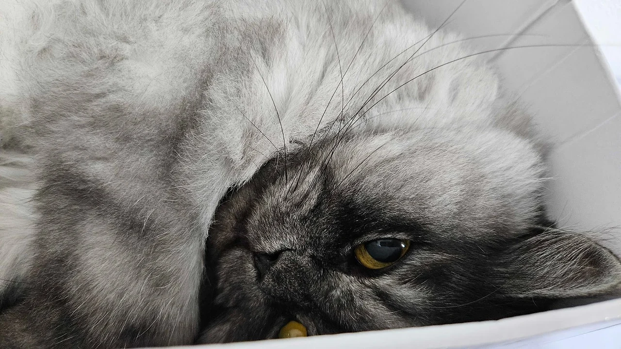 2MKeq3oimw-mXEVjpgc6-xZV_V_xUuOX_jyAsUdqVqsEsXDyfUCaF-2S7RR_Bl_dVYVVQe5IsMv64T7_EP0g_eGph7KRI4P5kCgmQoKd_xnT6F181sDxArkHWN8oiRdpGzcmHXNsnL4vqCElKIYxdHA