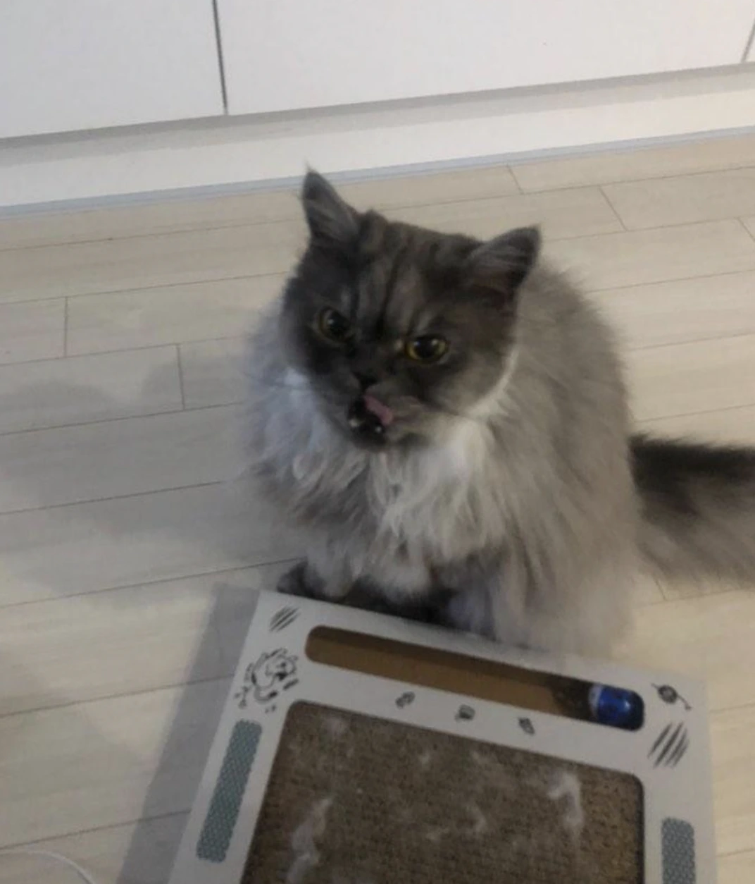 AD_4nXeyVg_Mo91r22Xj32_-p5Jlw-5SpEVwFe2BPvJYUtAddKaj-njVm6QjV4lxSV22x4isHRLbL3QjXUhbj0_VwC8TLnVEr4huhxDxtKVQOoqbfP9eLtM3-R_hCVHet9C56Qb0YxrtJw?key=7S8-Q1MuGkyL2_RqObtF-_ES