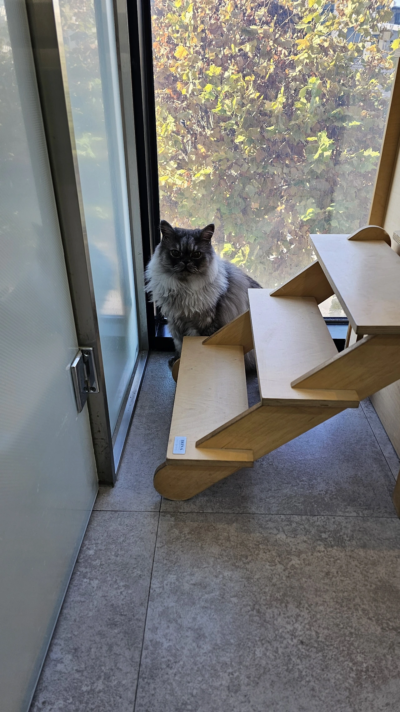 KakaoTalk_Photo_2025-11-28-18-18-43 001.jpeg