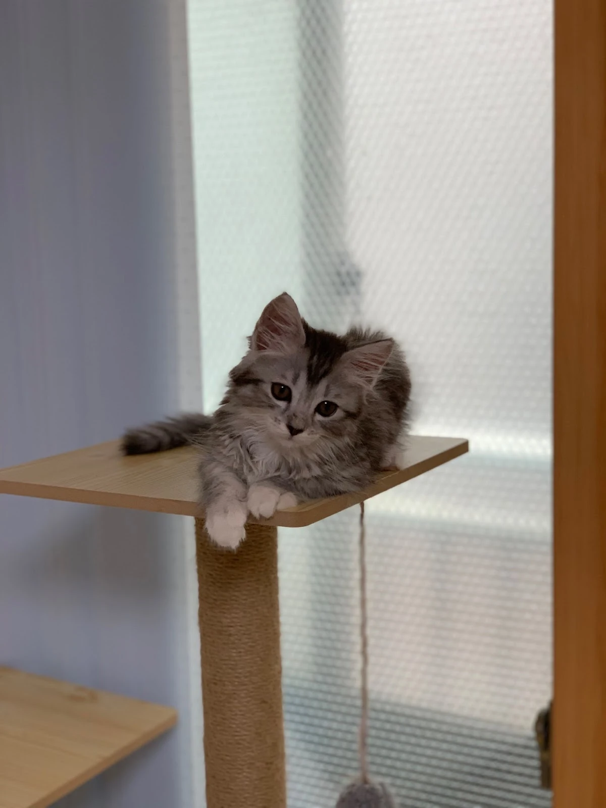 AD_4nXek6-ErPY5owmpWGeRByCrq4mZPpsg7PS_IAwQ_U1sBxQ0KWiOntFmwUeKCjmwSLRrxhK0uHG7jabk35hfyiosH82k8ILXdNfdyZVcG4Pjbdn7GeTv31TtKMzhFiLSXKyjtwLhXsA?key=Ohe1cIk7X6dFuYhIn5kQK_B2