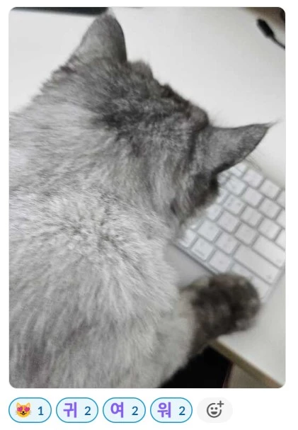 tqNXZ1pBvCsMffgRO1lvE8q2Eg0MCidIOsCWehdWNLWZ91rGf53pBODoYZtpfF5kERGQchjZrmfSFvh8nQHbwiMk6gNbp9vl_4KXfl829xpDZLLtV5wvoFzfNk1HHDIcRyQCnYS3nlO_bCb1cMFIWQQ