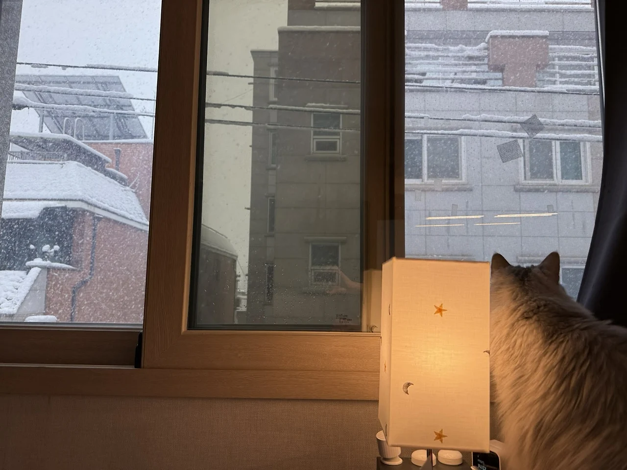 AD_4nXcXtRZ1ezDkEtLehF7QLQQonL5bR9J-OLBUXEaDysuCcGGQ9qGBC-CcJdkhPKbTkH-uhtud1WO3KzCDj5POJshFTKy1r9WYXpIJU9o5RBEueoY51xQO6yCdc-gaepgOIkwk95GBgg?key=PFCs9IiS1Qgu00Z3FlzrdTGg