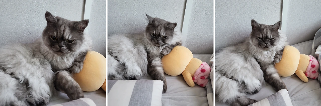 AD_4nXcmuTBE7lis8B_8vHlnx8zaZxsUKPp2KMlBv7KkbVMXGglitA1IMfG7NSz3LT0CFocVNZ2zuqxe49oYneyxS_h3RjOhMyD6QtUXmstpGydk4WpEH46daaqGzLLnttw19qNOjeN2sA?key=PWk6I6fV_4LxuITjvEzrmQ