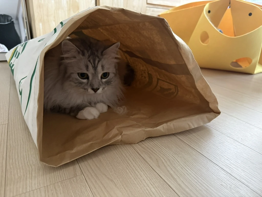 AD_4nXeMuDuVrPTYsLcNGT_twdGgwE3U2DyBx4H0GTSFCpIIsCs2RAU6Ii7ktFl1rx5FwkLx2zfRQJHdd78iFo2JSmxmo2WxF21xV5X6OtepGMkq8WN8gW_RbafEveMtT5vW8D2v2VdAjLhN6Au2XjpGBSzQ2WdU?key=N1S1hr7HtCtdzK7Y3nlaLQ