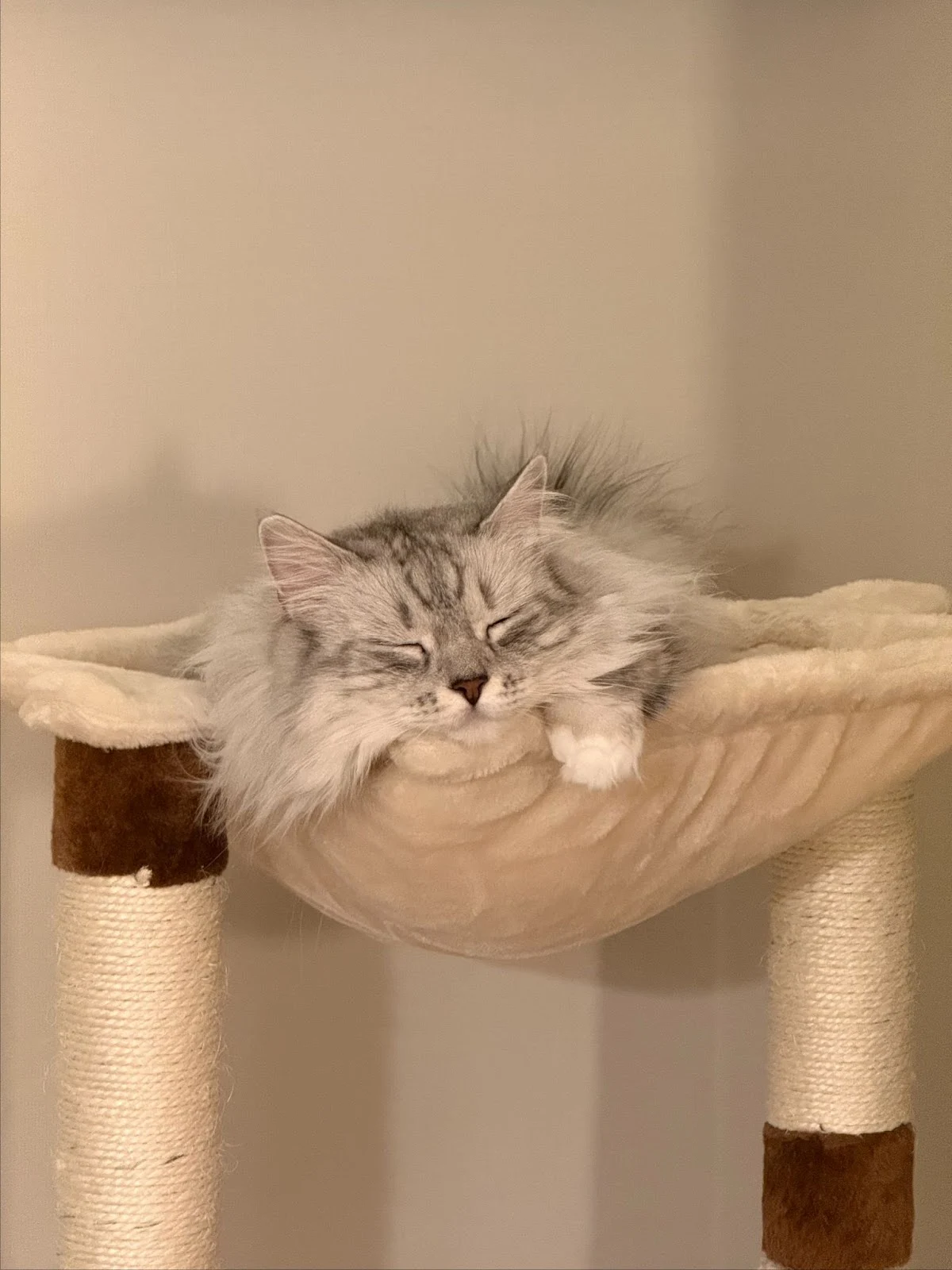 AD_4nXdfvyhUjHWqaaYWrD1kgl_ewsN2zDPwy6jdLcl5dkyy8hoEUAFTolI7rKN0AjI8M9ALwTgnOo1YTFp7PQjv2NZo6BKC4kxVGP1CHFqDFHMcxEuSrptNadhweFMPwL9lDdM05aK9zqMcuCxZ5RAkTctlx63L?key=gvYD29bIKs1vuATrJRyumw