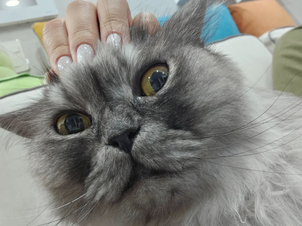 AD_4nXdWRLXqmmi6inD829dzH9mwxBFjE-AXDt1h3qiPnzFSuwxyl30jjPq3GX4ma88MeeeHS4xQ0upvrvOfktcc_DqYXlsJXZUise0xbYpm11ZT2xjFhwMGjblRBdK95-qtRXApyAla3lyGsFOgcayI3mSK4VlX?key=ZH14vbb-2zBB-4p4XnKE1A