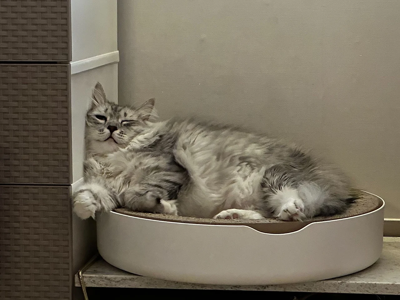 pDL0LXxtsmREqEtDMTyWQ53pSKIq8BqQfzX-VZbf7SRQxWUnoQa4j-pOP0BSytVxQwG2RSQv1TjYnzEb13vClYd2j0HK5wVkhj_lIYUv6BdhLvrtuyaD9npDK7eXbya48xFDbKHFjkm9FNMSrnuztzY