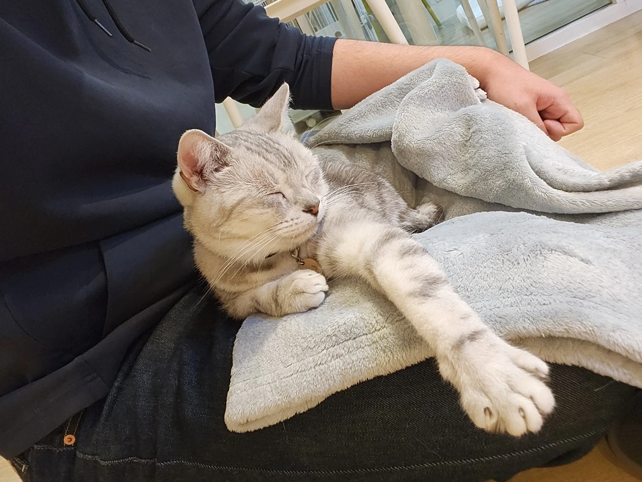 7o8r6zTis6KSzYOYebC2-ne-2lul3dt6YSeuYWHK1kekpT4JI7dhsEyUQQUYnYOejPYs5TnJSASvm9TAGfUUbKs1aS3L6HJFZPvJrVcJ1mGfDr3uqFIHB2LuiaIfgkQJLQAMdpAm-_BjrDsGvomH6Uk