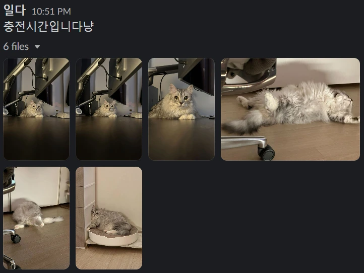 LHx9qIxmt8-68afaqS5pD_ad5MfCg3L1i4qPLpSfREn5fh7HZnRjToHY1hnU6mMHTt5BkoM7BnOb_Ku-gNThHdMd9T1jKB9WmPj7z-7_8HSVm5m2AAz0EctWIABCZrSn3pb9OJrzTGrAMlcy-qZkd7bv44qI_QpyeAkCsix1o2BgndsXYH9HUMPjee8OEg