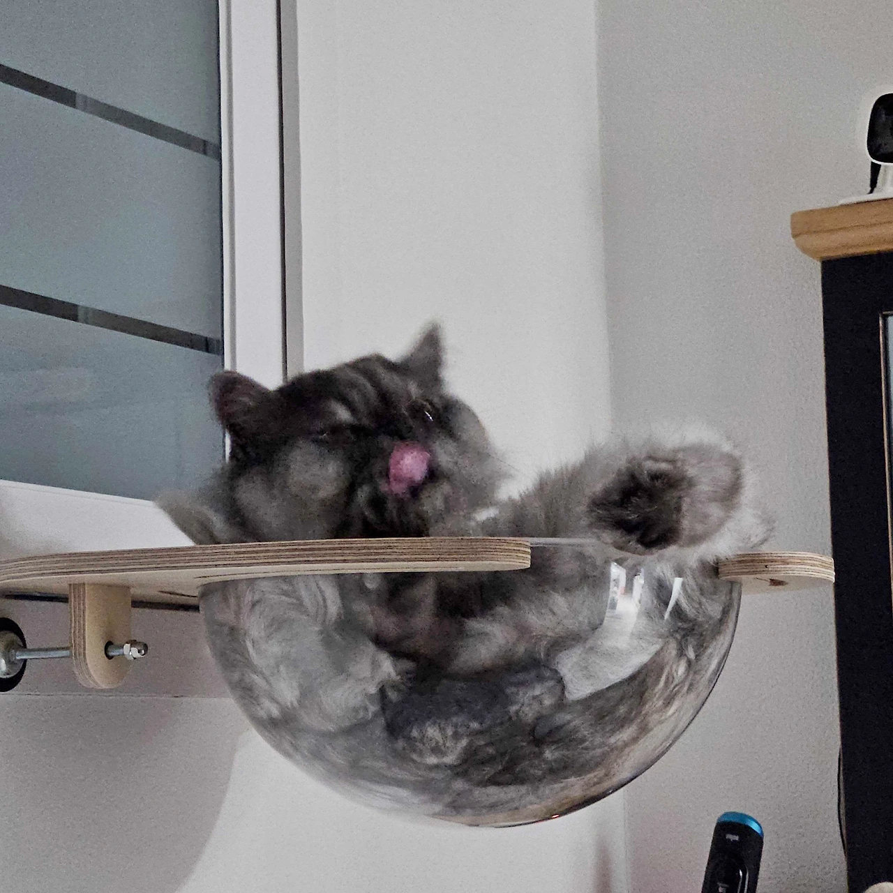 NJ3qGqdIokntexbRudmHFMq6txLu81VyP27uCTbV6uRxrix6H_QI9u-D0__NYuzs-R6F7iHI66fUkdxLW_XO4wmXZANjydDgFwa6BX0XcsGUGTW1CRPN9CnTJNe_fFQlUzegH0qbetjwgfarZlumVkA