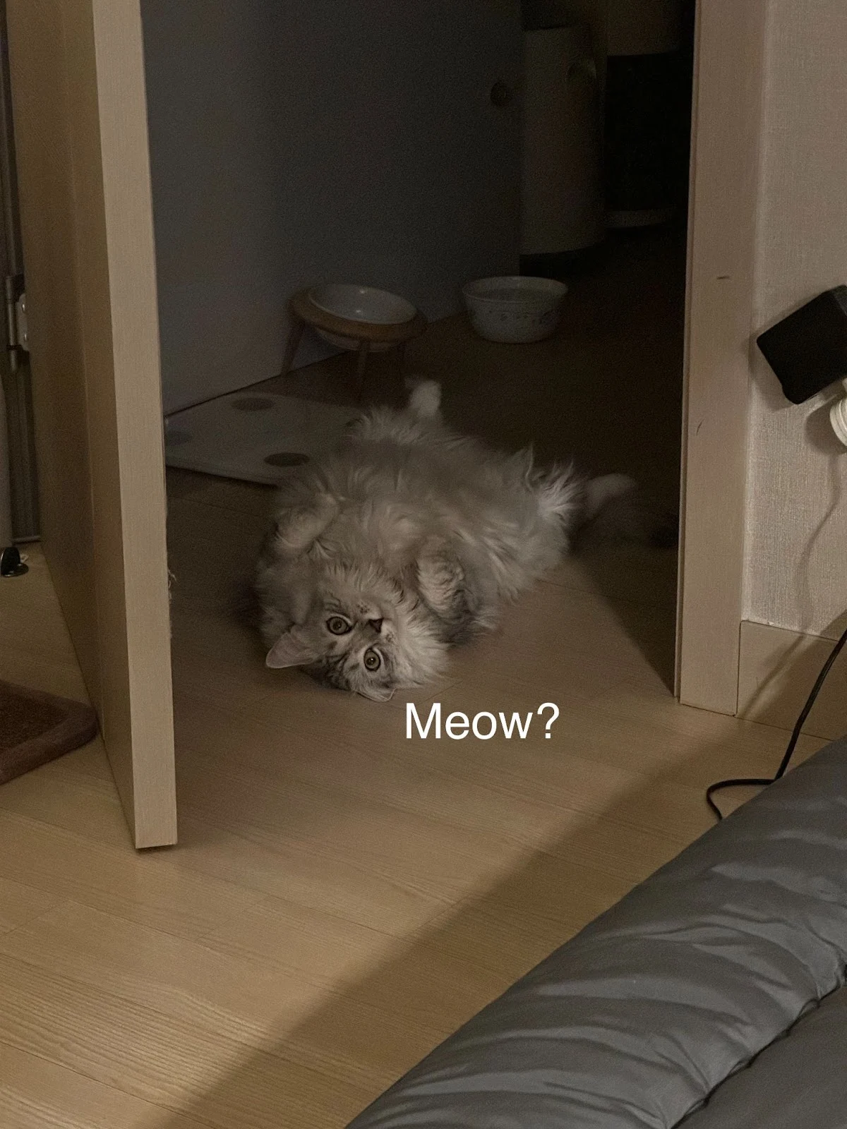 DAoWsimhpkyZZG001i0wCFJDkKgYg3B853_9LF8D0OKQZUV4oLGqHYEw6VcLaRTBymQl6fJ0wX135ozmWWaFyKs0v7qIhmC0AgL_CYOdbRf-bke6mvf8IzoAh-nnumpeEv1NbqmSga4NYtzYg9_lv_Q