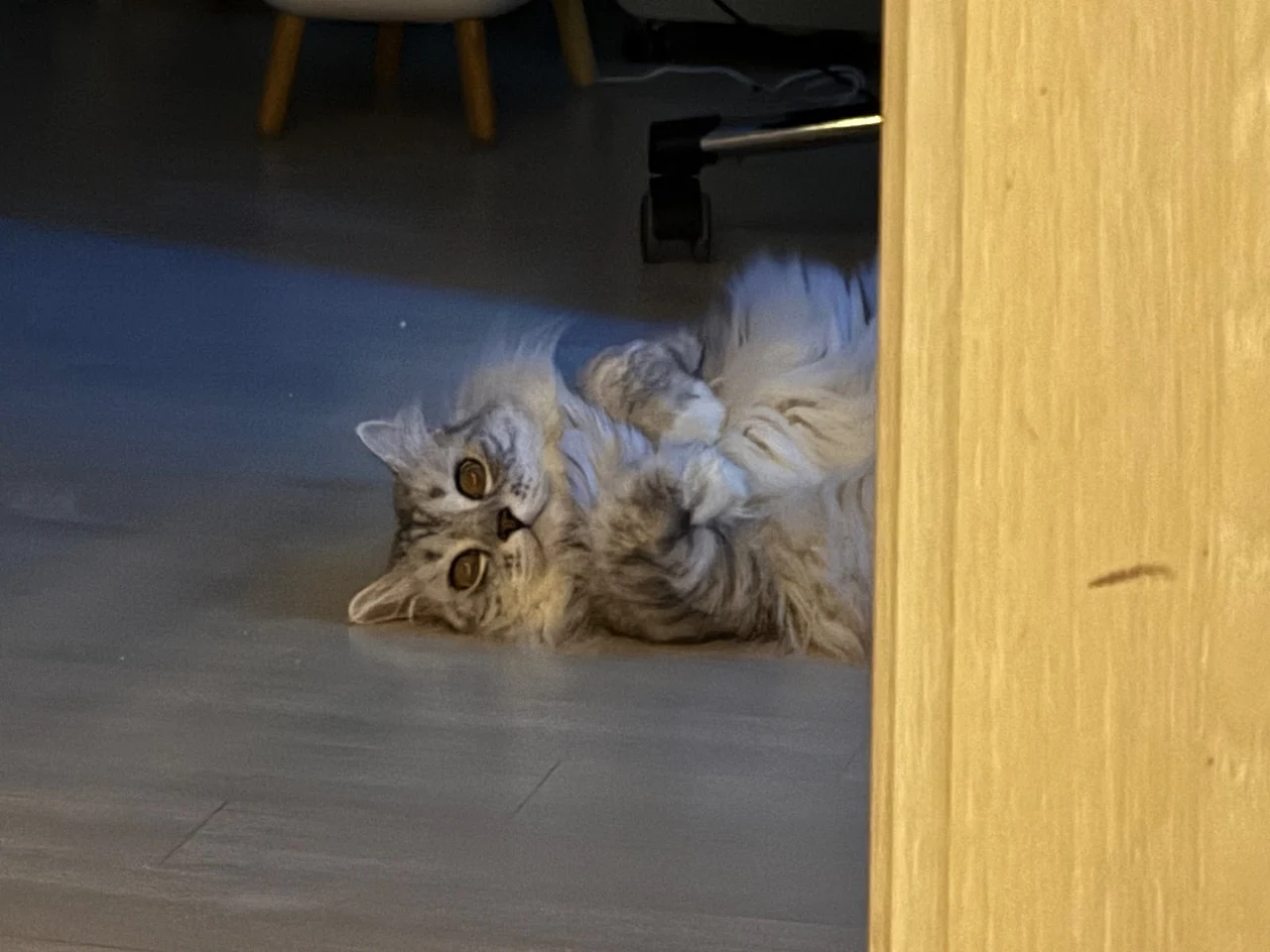 AD_4nXcuqDmOdx_vn3BHNw-gnqYd3wnCyS3gU5qmobAY8JSHk70aEKoRGteQDsJTEaDpzd7KhimIPOwAgbjsiDDkEy0EcMCHMP-tFZjiCEE7RO2JgtvimTgqTdeMEEaKqMk_x3tdNQC8?key=cPsQi0lQwiKKX9DE6d522w