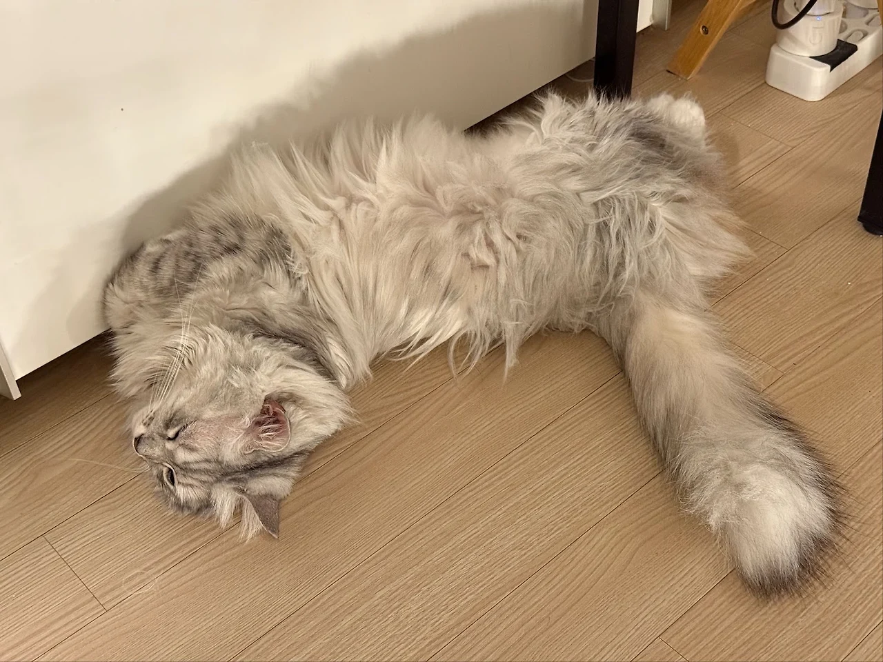 AD_4nXdAG8ZmocqgiNg5pFIXju7Y-3IM1JOapQ2VKYBJWYO7h9aikAVwYWaO-O9UhxEL3YcHEKTCUSrzEqhJKJNSh0Tu1G-Ef8JKy45I1ydlhCfGyEUvaAMM8utxoezTwaen1WJnqME7?key=XPbaqGkFCYHrOQnXXtgoQ4C0