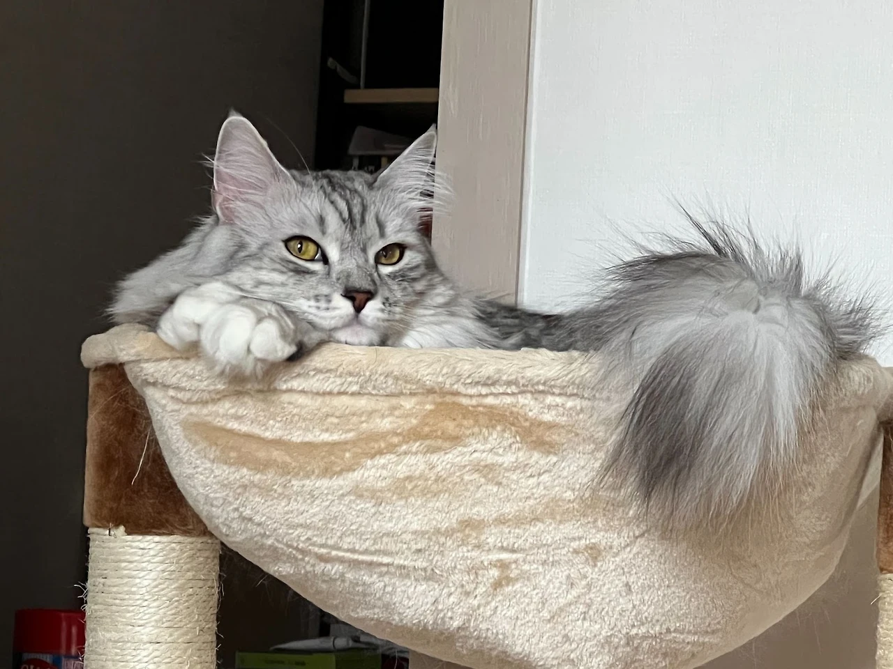 bOteNX6Un8YLmi75jd27Q0tlR-5PqlY0i4dJaJffn-_DaQaCq2IzNAdfTnMrK3ooIGj1CgEDqq0_tzqcclpPe6J5rmoLFgsZ5zxm0Fhpq0QLdhLNJx4j_BkwhNeMkkDhEuLShNkYTb0DQlwdG4WelOk