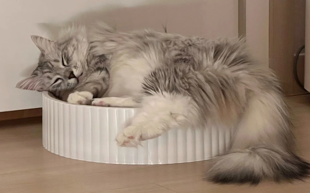 uTmkof4z-tZ2PVqWHBs_7tNyxG7Og0CnIrW-bSuloIJ3QBQ4-QvUFmFKvaZgYaEWam6lx8YqXEWTSi1GRv2_A_ItGoo9dy0B51vpYuuzhMnwfpPE2Mxa2740Q2EIv-cMk45O1crpSqilUtl4cor8WKt-60gSS1MXiEY9my0STuJ1xWZACqJhTEWywd2t