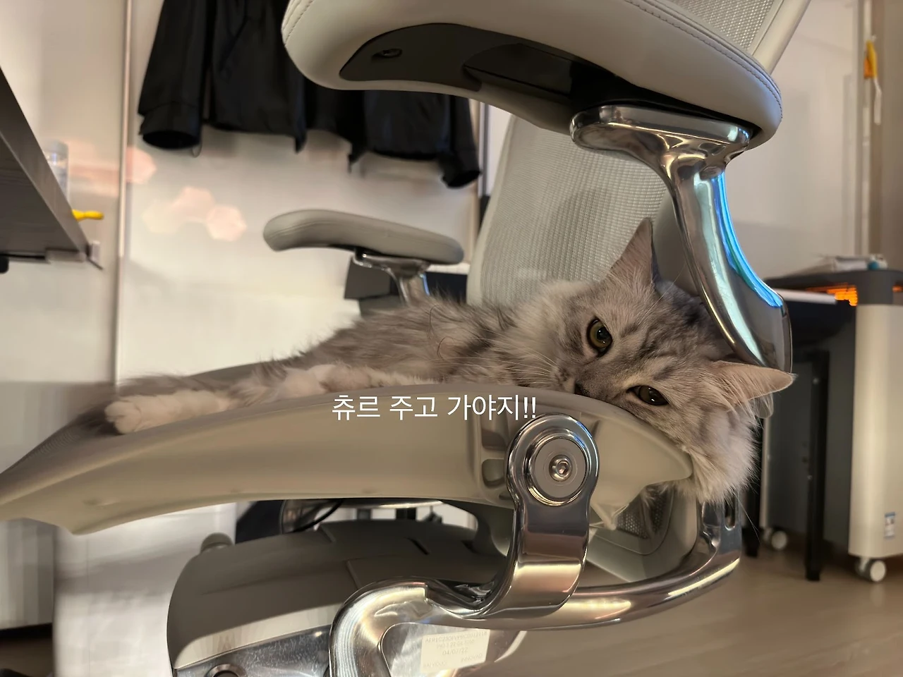 OjYjCkvhOAqycNV6Z_LHRlPH7m1pjUkjXzdzZLxqOrO8f-ivL177n0NKDkBo3jWzFmsgCcInHxCblZXvPvV1z9my4oRGPuxGllXn8_egZujvR4lKLW7qppU31VVwtZB9y1zl1c-sSuaOgm6OM09U3Dk