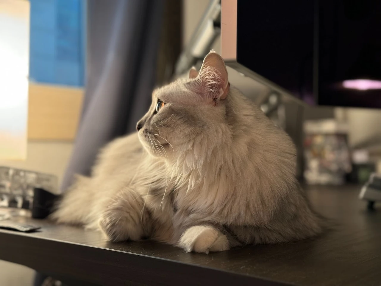 hKduxSJ5pkq_rN_QGRW14LR9H9mp_UXI_pY4SBHVG4sAm_7MMTOPW5-8CUyPk_uL_9-FNMks50Un8BkzpZErdbB2oy1jwm-k1jc6xAJIITqLpFbYtS9vhj-Vg52FQDyEgr_ih8SgPlqY-L6x_HClb0s