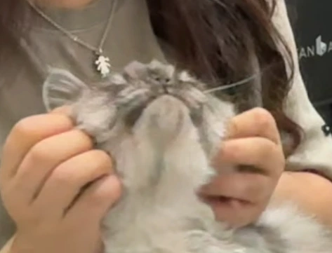 AD_4nXcewAtYpYu63rqygcP0yU5KA06yZ5y4MunBVSvvA2hHbv74PpQEFBBpYicWjqDNbqJWAexOYuwuu5lh0QYRZVQUWyxgLTvcmlZARHdzG-Du1GJ06v7cAdmO5BqnVRdxFbb5v4OapQ?key=Pvxas8uD0qEPvpuxTguCWg