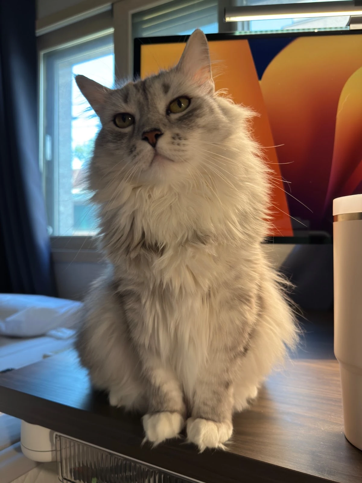 AD_4nXcwBO6HilKFHtvRz0qW1Ug7XECyp6XY9dSIgv1Mj0_dMnxvFmB_yiYQTkhokNHVwXACFGaYh_rPdcnhw36jR1YrvoWfGFLWgbChxGce_GOXp5mtg7xHPVzvH7uAPkPUukj5-0o6yA?key=gxcd_5ThmlRMzWJx9CUpjTka